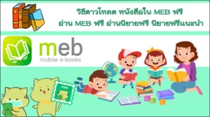 1 MEB คืออะไร