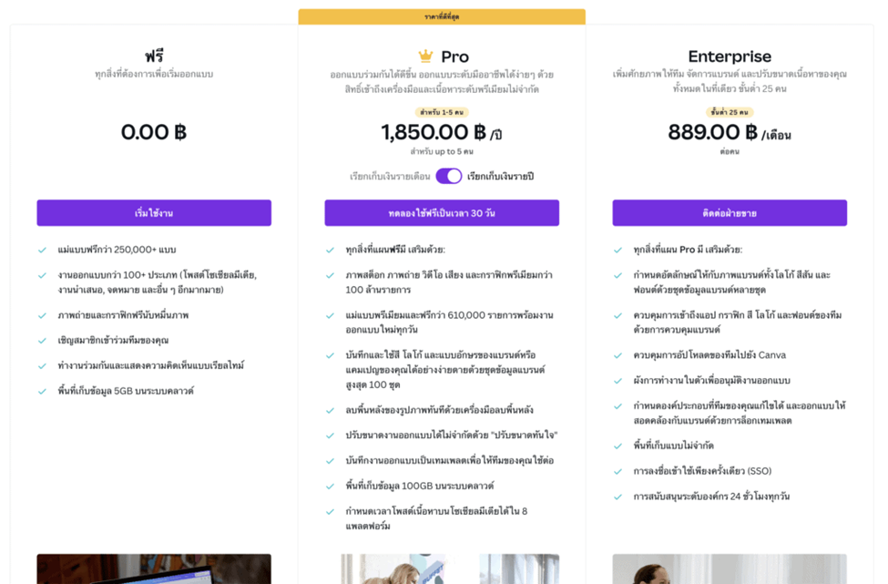 3 Canva Pro ราคา