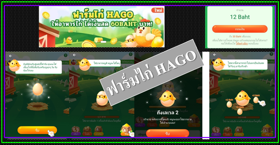 4 ฟาร์มไก่ HAGO