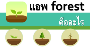 แอพ Forest คืออะไร